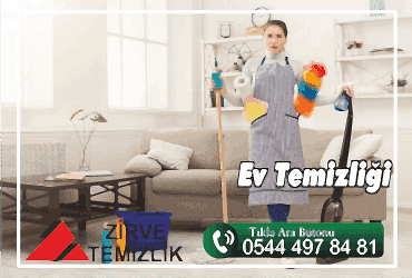 Ev Temizliği